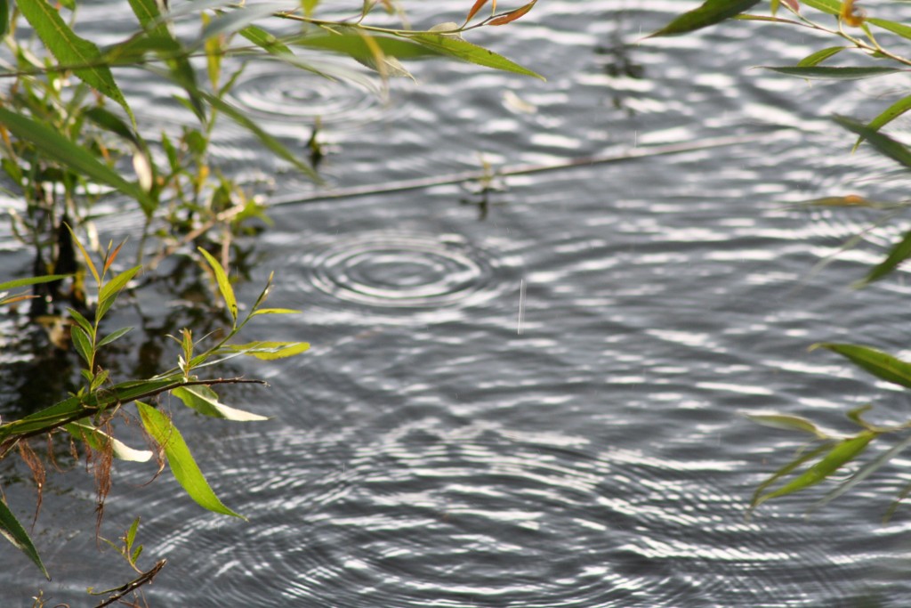 water