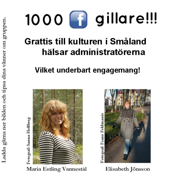 FBgrupp kultur i Smaland