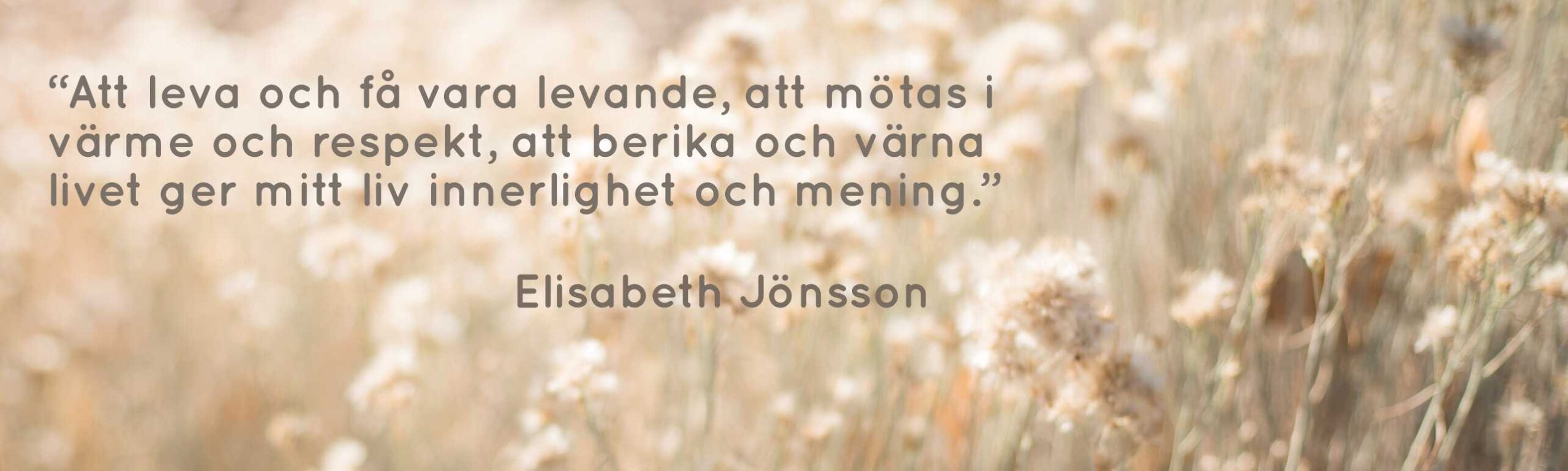 kreativasamarbeten