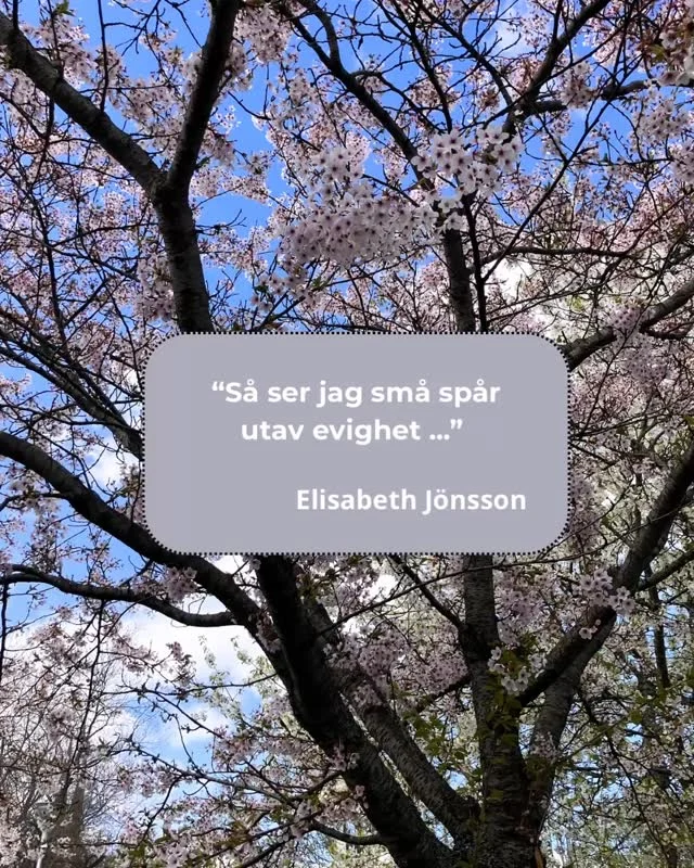 Så ser jag små spår utav evighet🙏❤️. .. för mer känsla slå på ljudet…#existens #livskvalitet